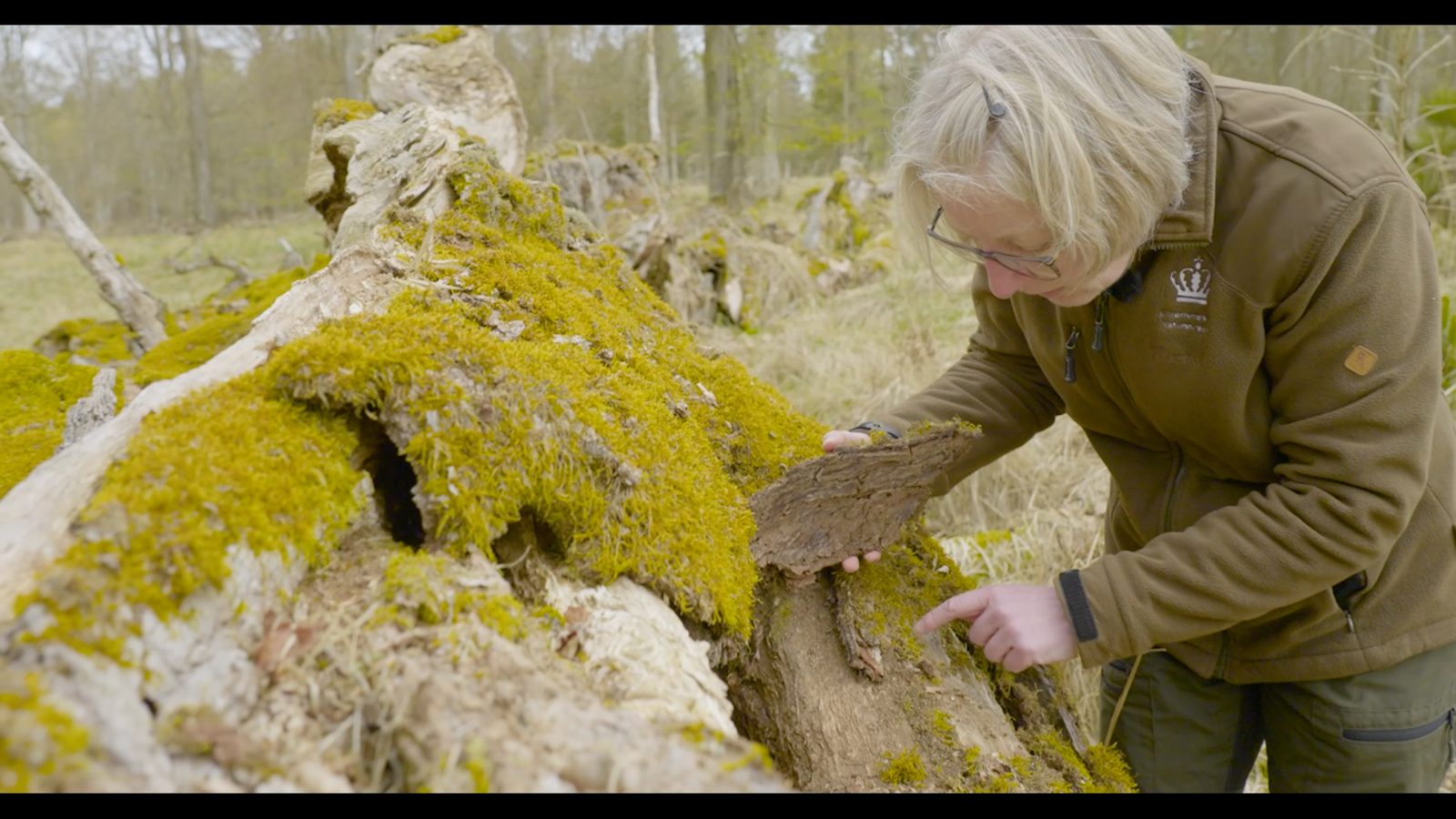 Biodiversitet i Gribskov — Merkur Andelskasse